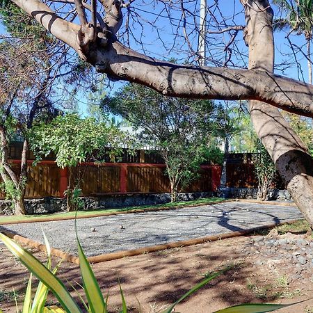 Villa L'Almendro - La Saline Le Bains Ngoại thất bức ảnh